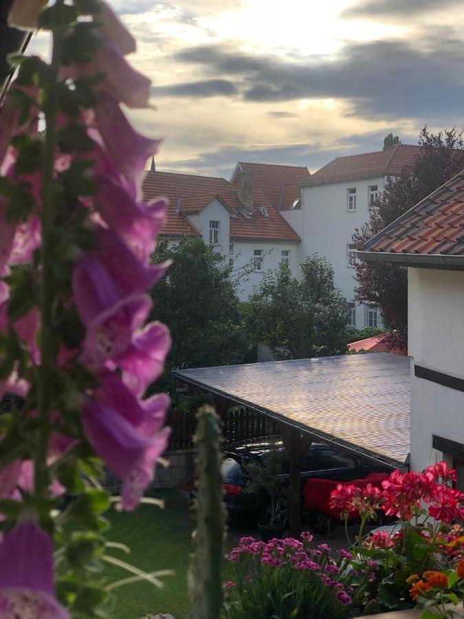 Апартаменты Am Mathildenbrunnen Gross Кведлинбург Экстерьер фото